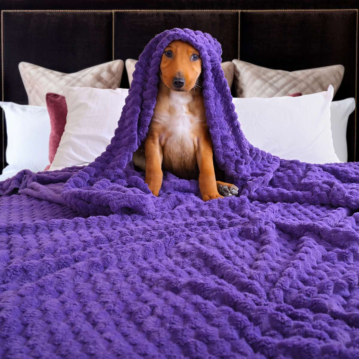 Cobija Matrimonial Morada (1.80x2.20)