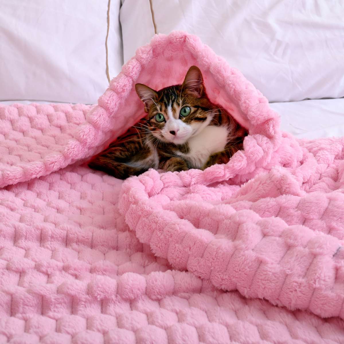 Cobija Matrimonial Rosa (1.80x2.20)