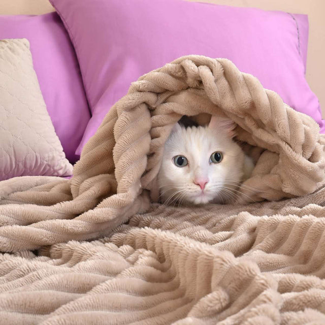 Cobija de Flanel de Rayas queen size Arena Envuelta en la Mascota