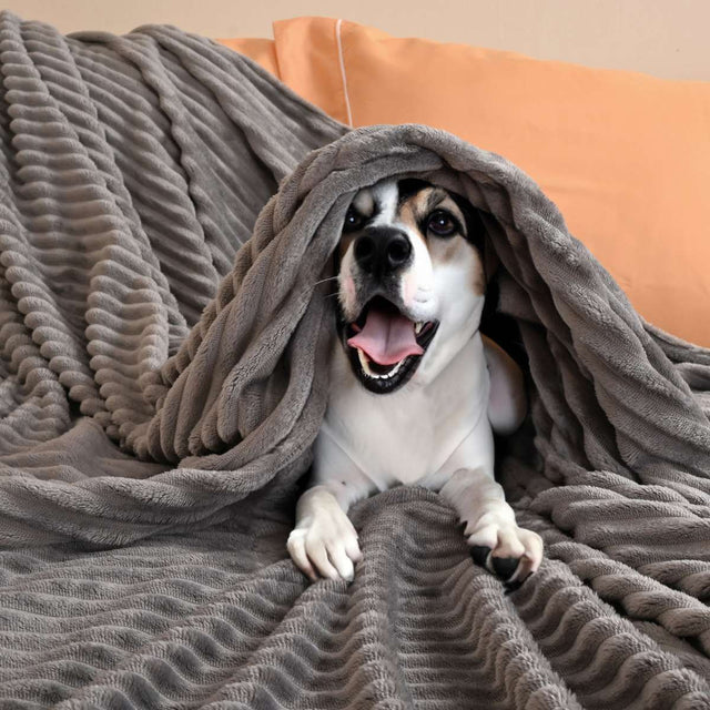 Cobija de Flanel de Rayas matrimonial Gris Claro Envuelta en la Mascota