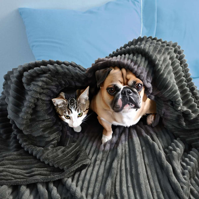 Cobija de Flanel de Rayas queen size Gris Oscuro Envuelta en la Mascota