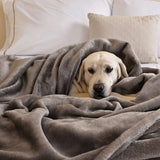Perro acogedoramente acurrucado bajo una cobija de flanel color gris claro tamaño matrimonial 