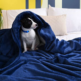 Perro acogedoramente acurrucado bajo una cobija de flanel color marino tamaño matrimonial 