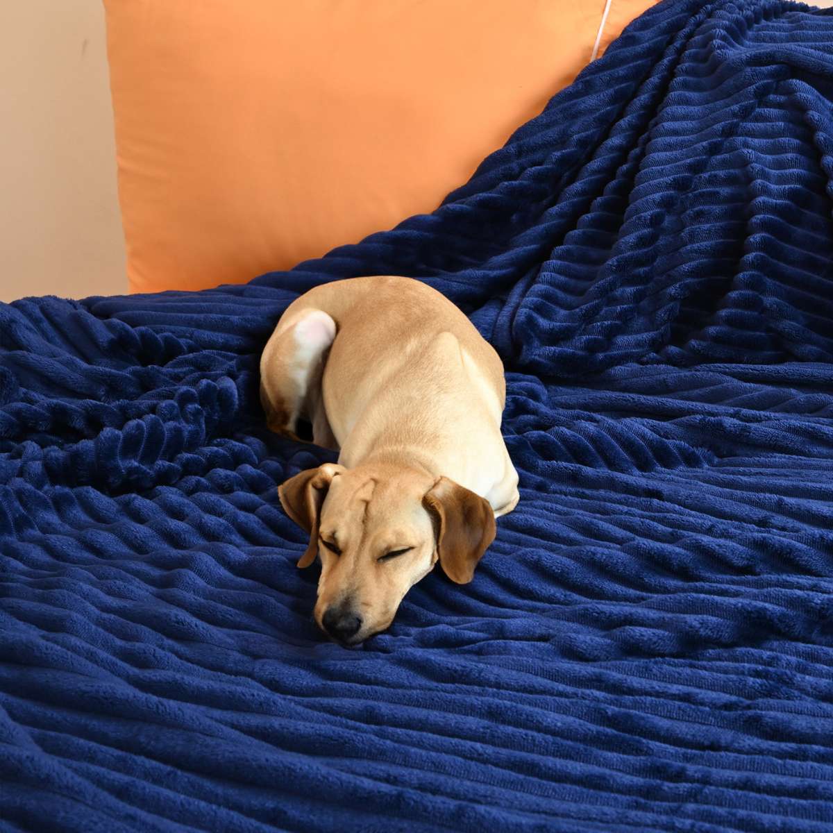 Cobija de Flanel de Rayas matrimonial Azul Marino Envuelta en la  Mascota