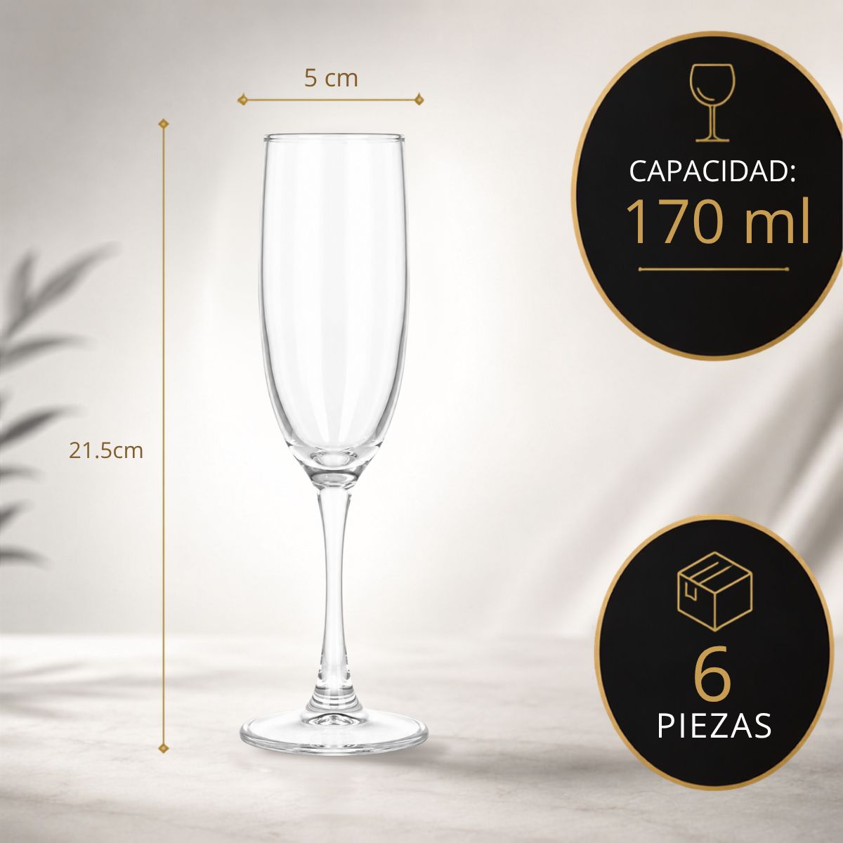 Set 6 Copas Champaña 170ml