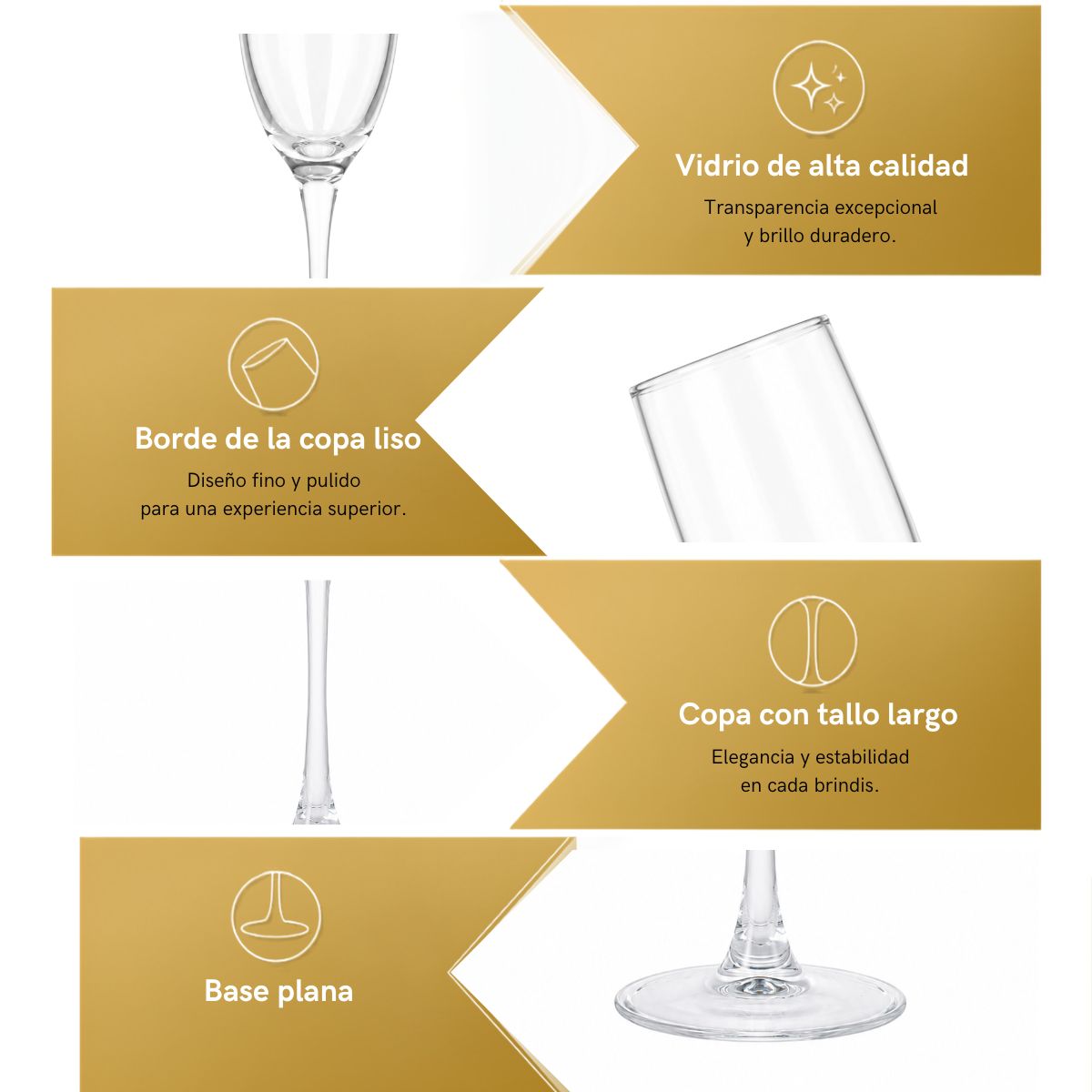 Set 6 Copas Champaña 170ml