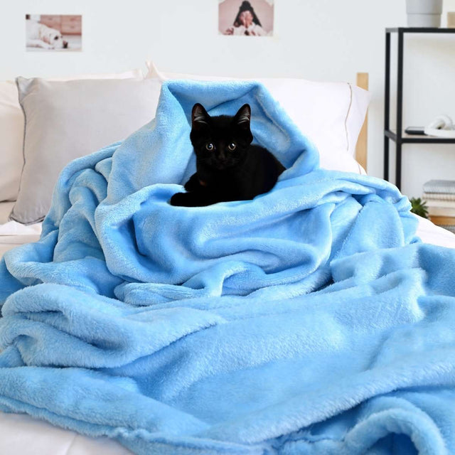 gato negro envuelto en una cobija matrimonial 