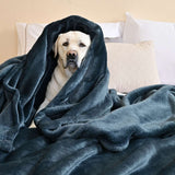 perro envuelto en una cobija matrimonial 